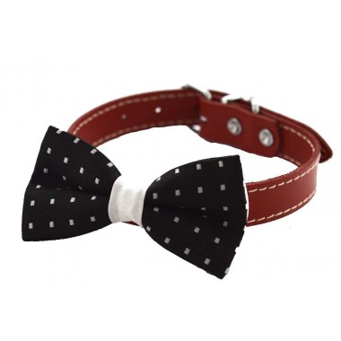 Papion catei negru c0001